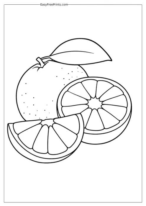 Orange and Slices Coloring Page
