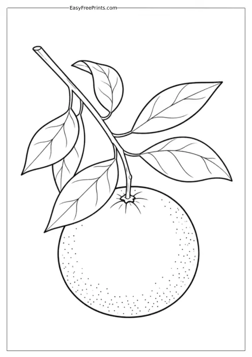 Orange on a Branch Coloring Page