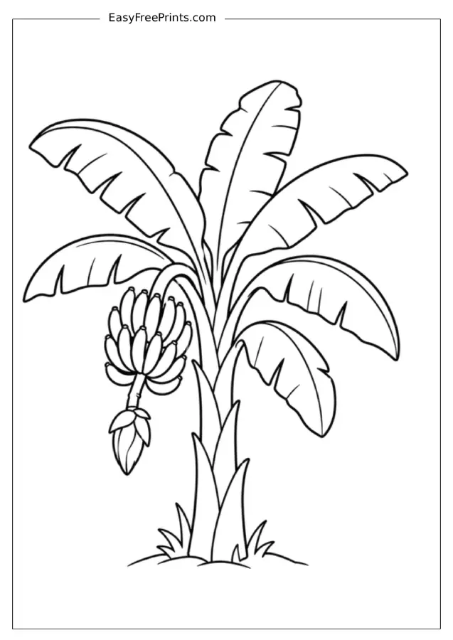 Single Banana Tree with Fruit Coloring Page