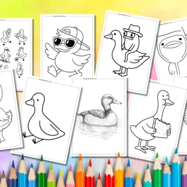 Duck Coloring Pages to Download