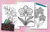 Easy Orchid Coloring Pages for All Ages